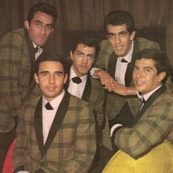 Foto do artista Los Teen Tops