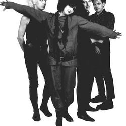 Foto do artista Siouxsie And The Banshees