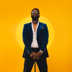 Foto do artista Fally Ipupa