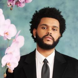 Foto do artista The Weeknd