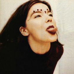 Foto do artista Björk