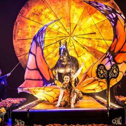 Foto do artista Cirque Du Soleil
