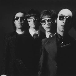 Foto do artista The Flamin' Groovies