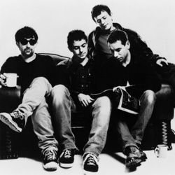 Foto do artista The Lightning Seeds