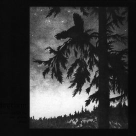 Where At Night The Wood Grouse Plays - 1999 • Álbum