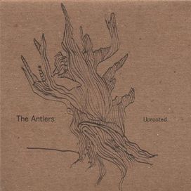 Uprooted - 2006 • Álbum