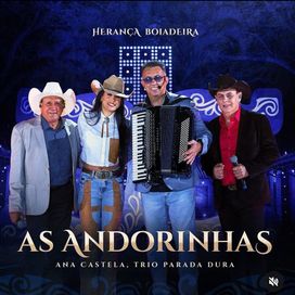 As Andorinhas (Ao Vivo) (part. Trio Parada Dura) - 2024 • Single/EP