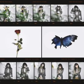 HOPE FOR THE FLOWER - 2021 • Álbum