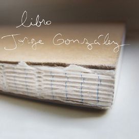 Libro - 2013 • Álbum