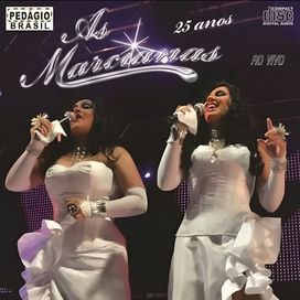 25 Anos (Ao Vivo) - 2013 • Álbum