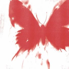 WHERE DID ALL THE BUTTERFLIES GO? - 2025 • Álbum