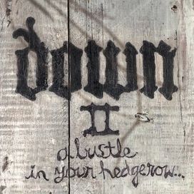 Down II: A Bustle in Your Hedgerow - 2002 • Álbum