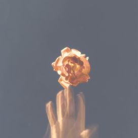 still here - 2023 • Sencillo/EP