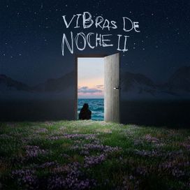 Vibras de Noche II - 2025 • Álbum