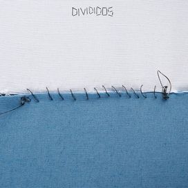 Divididos - 2025 • Álbum