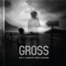 Use o Assento para Flutuar - 2013 • Álbum