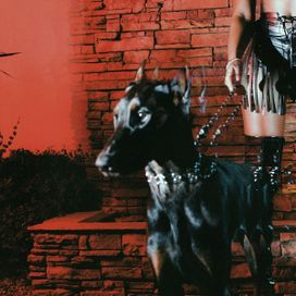 MUTT - 2024 • Álbum