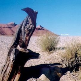 War Bird EP - 2004 • Sencillo/EP