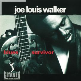 Blues Survivor - 1993 • Álbum