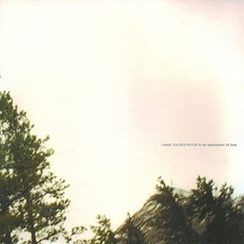 I Name You Destroyer - 2001 • Álbum