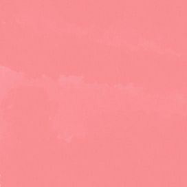 pov you cant find the exit to the cat cafe - 2025 • Single/EP