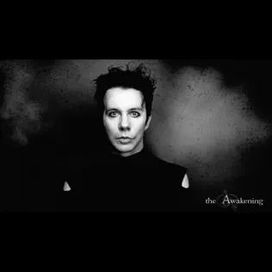 The Awakening - 2024 • Álbum