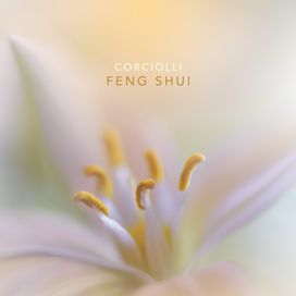 Feng Shui - 2001 • Álbum