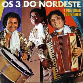 É Pra Virar Lobisomem - 1981 • Álbum