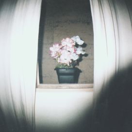 Casa Vazia - 2015 • Álbum
