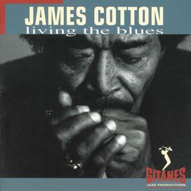 Living The Blues - 1994 • Álbum