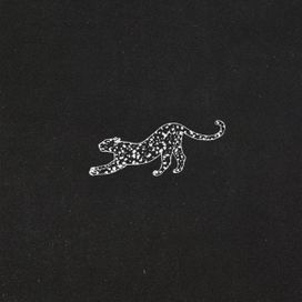 Panorama Olivia - Coca Puma