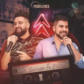 Só Sucesso do Forró - 2019 • Coletânea