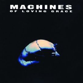 Concentration - 1993 • Álbum
