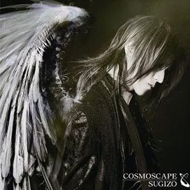 Cosmoscape - 2008 • Álbum