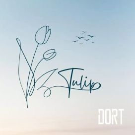 Tulip - 2022 • Álbum