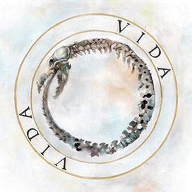 Vida - 2010 • Álbum