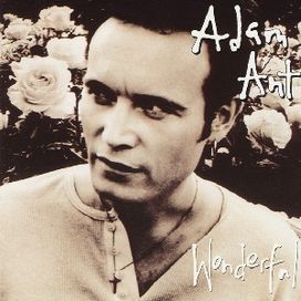 Wonderful - 1995 • Álbum