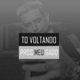 To Voltando Pros Meus Gado - 2018 • Sencillo/EP