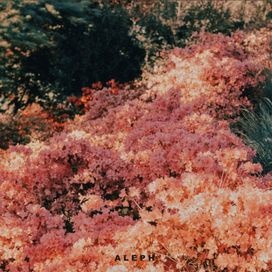 I knew it - 2026 • Sencillo/EP