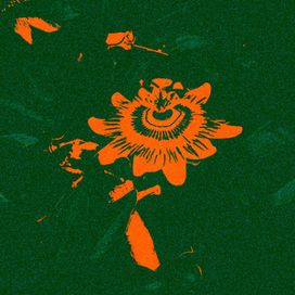 compilation five - 2023 • Álbum