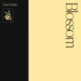 Blossom - 2020 • Coletânea
