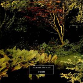 Wonder - 1991 • Álbum