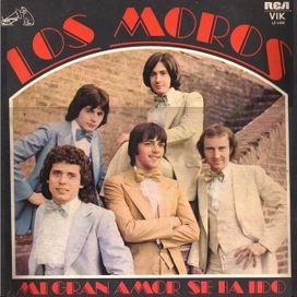 Mi Gran Amor Se Ha Ido - 1980 • Álbum