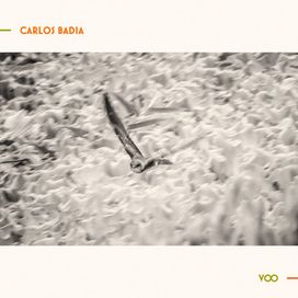 Voo - 2021 • Álbum
