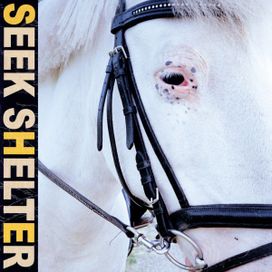 Seek Shelter - 2021 • Álbum
