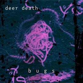 bugs - 2024 • Sencillo/EP