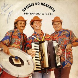Pintando o Sete - 1993 • Álbum
