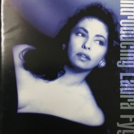 Introducing - 1991 • Álbum