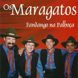 Fandango da Palhoça - 2001 • Álbum