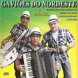 É Brasil - 2014 • Álbum